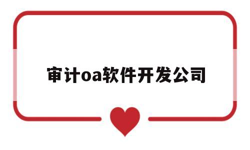 审计oa软件开发公司(审计oa软件开发公司有哪些)