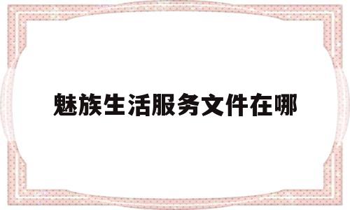 魅族生活服务文件在哪(魅族生活服务文件在哪找)