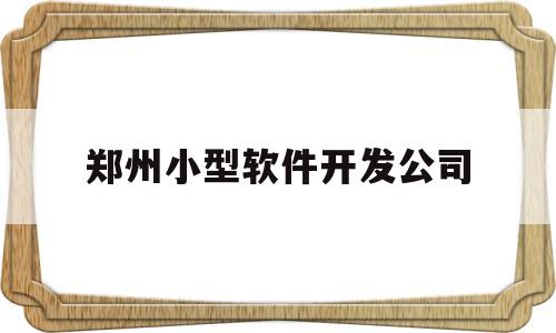 郑州小型软件开发公司(郑州小型软件开发公司招聘)