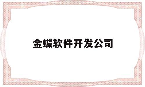金蝶软件开发公司(金蝶软件开发怎么样)