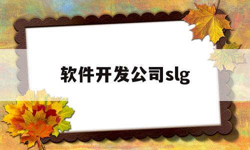 软件开发公司slg(软件开发公司需要什么资质)