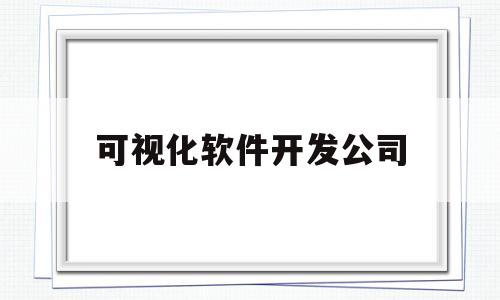 可视化软件开发公司(可视化软件开发公司排名)