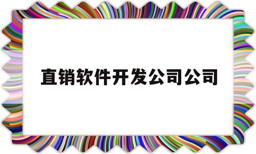 直销软件开发公司公司(直销软件开发公司公司名称大全)