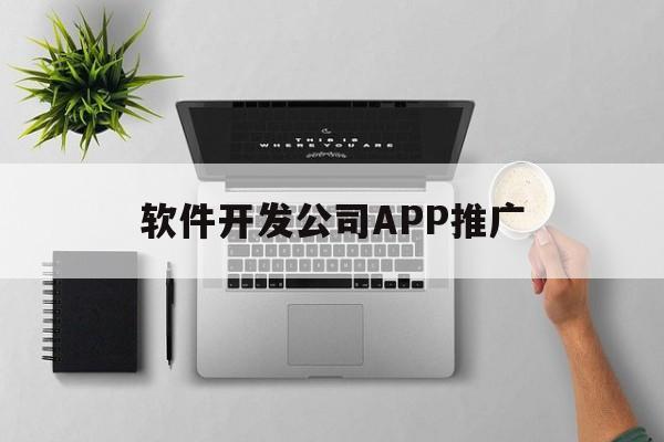 软件开发公司APP推广(软件开发公司app推广方案)