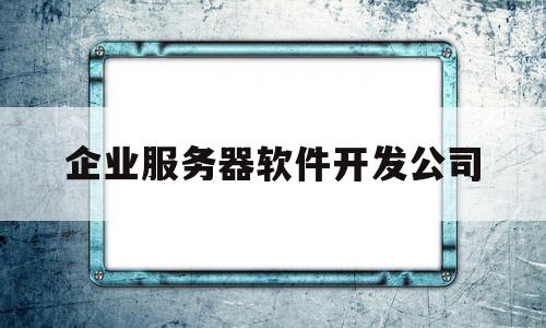 企业服务器软件开发公司(企业服务器软件开发公司怎么样)