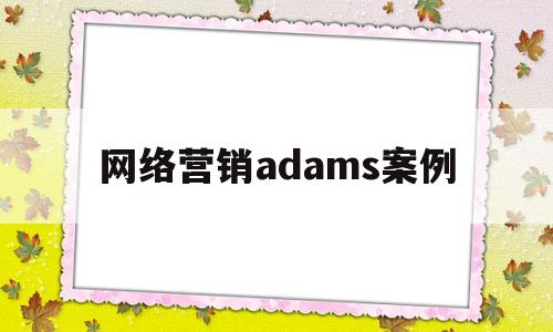 网络营销adams案例的简单介绍