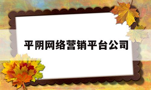 平阴网络营销平台公司(平阴网络营销平台公司地址)