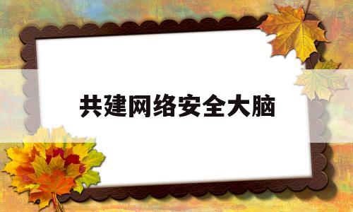 共建网络安全大脑(共建网络安全 共赢网络文明)