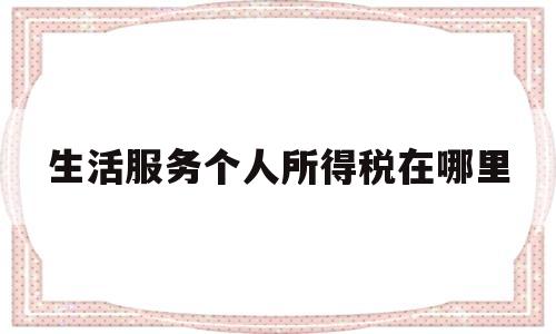 生活服务个人所得税在哪里(生活服务个人所得税在哪里交)