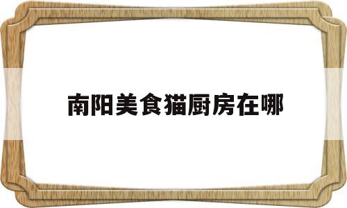 南阳美食猫厨房在哪(南阳美食猫厨房在哪个位置)