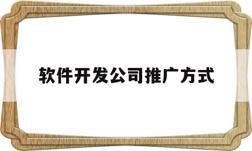 软件开发公司推广方式(软件开发公司推广方式有哪几种)