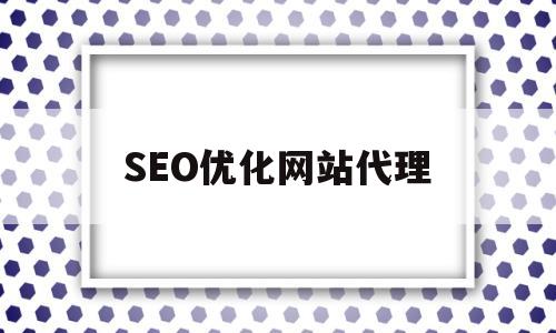 SEO优化网站代理(seo网站优化方案案例)