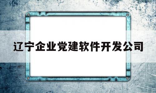 辽宁企业党建软件开发公司(辽宁省国有企业党建工作责任制实施办法)