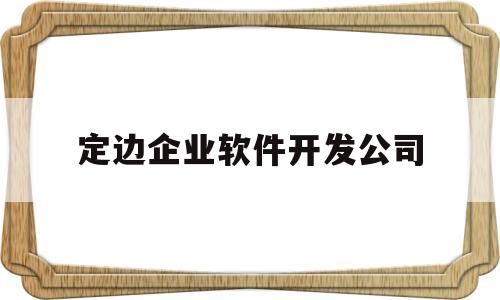 定边企业软件开发公司(软件定制开发公司发展前景)