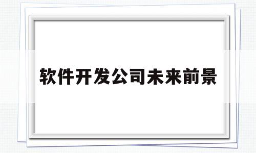 软件开发公司未来前景(软件开发未来前景如何)