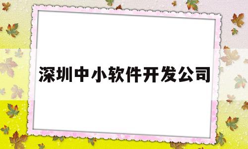 深圳中小软件开发公司(深圳软件开发有限公司有几家)
