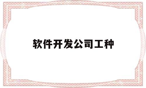 软件开发公司工种(软件开发公司属于什么行业类型)