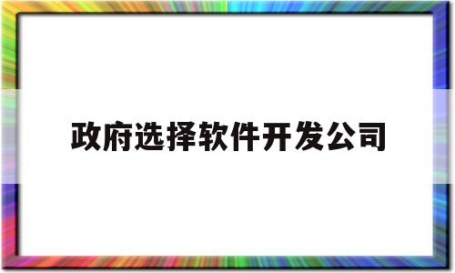 政府选择软件开发公司(做政府软件项目的公司好不好)