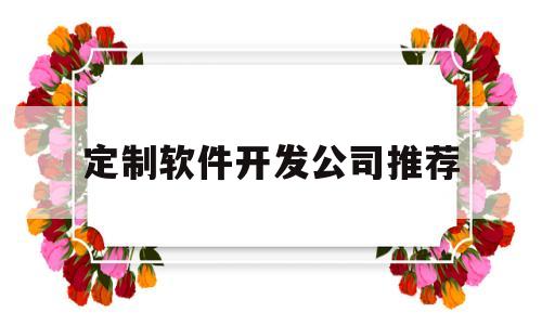 定制软件开发公司推荐(软件定制开发公司发展前景)