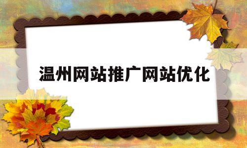 温州网站推广网站优化(温州网站制作推广)