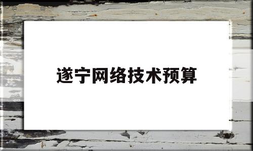 遂宁网络技术预算(遂宁网络技术预算招聘网)