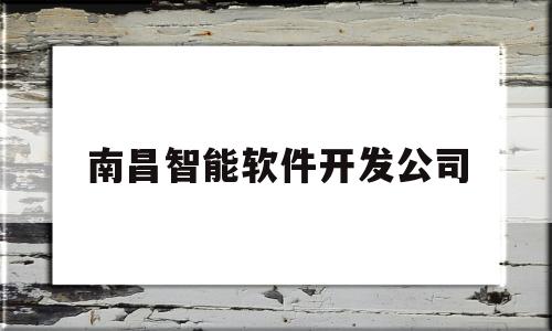 南昌智能软件开发公司(南昌的软件科技公司)