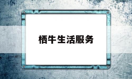 栖牛生活服务(栖牛生活服务电话号码)