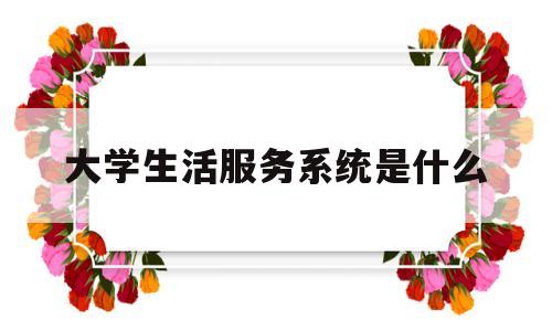 大学生活服务系统是什么(大学生生活服务中心英文)