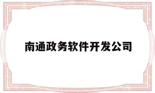 南通政务软件开发公司(南通网上办事大厅官网)