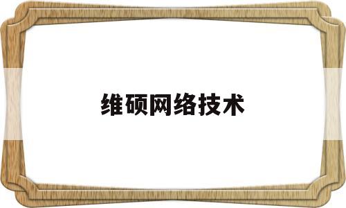维硕网络技术(维硕是什么意思)
