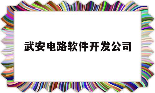 武安电路软件开发公司(武安电子厂招工信息)