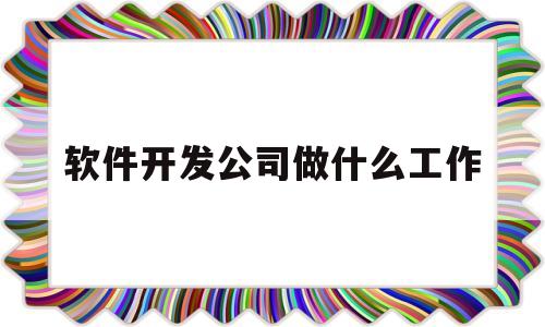 软件开发公司做什么工作(软件开发公司做什么的)