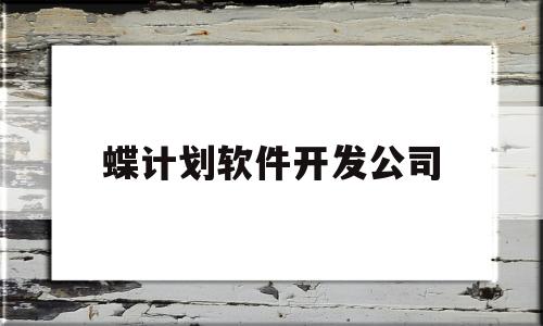 蝶计划软件开发公司(电视剧蝴蝶计划)