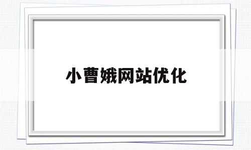 小曹娥网站优化(蒲公英小红书官网入口)