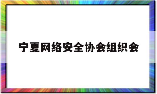 宁夏网络安全协会组织会(宁夏网络安全公司)