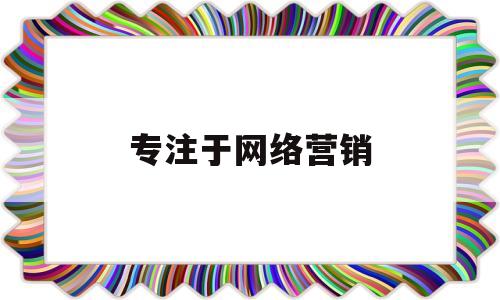 专注于网络营销(专注于网络营销英语)
