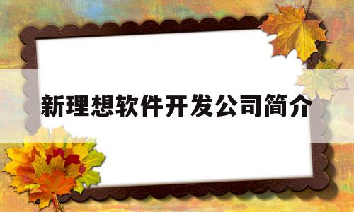 新理想软件开发公司简介(新理想实业发展有限公司怎样)