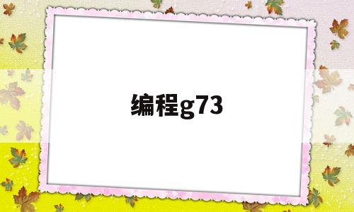 编程g73(编程G73R3Q1是啥意思)