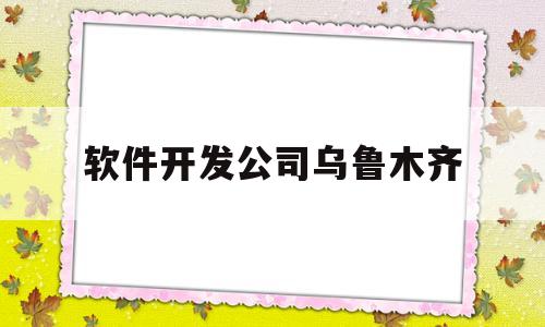 软件开发公司乌鲁木齐(乌鲁木齐软件开发培训)