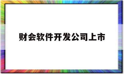 财会软件开发公司上市(软件开发公司财务)