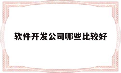 软件开发公司哪些比较好(软件开发有什么公司)