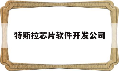 特斯拉芯片软件开发公司(特斯拉芯片代工)