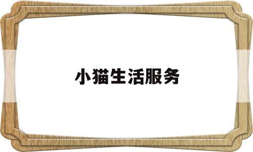 小猫生活服务(小猫的生活用品有哪些)