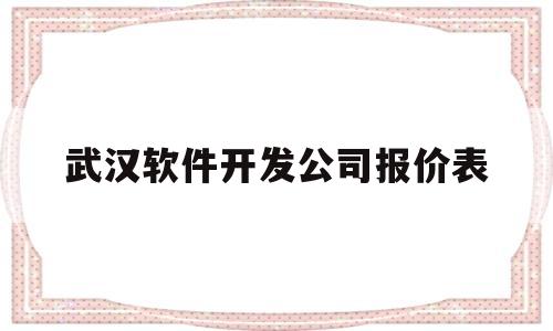 武汉软件开发公司报价表(武汉软件开发公司都分布哪里)