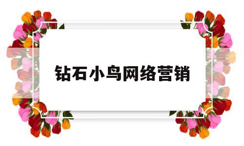 钻石小鸟网络营销(钻石小鸟的运营模式)