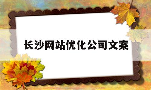 长沙网站优化公司文案(长沙网站优化软件)