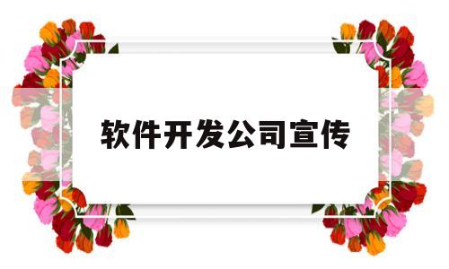 软件开发公司宣传(软件开发公司宣传途径)