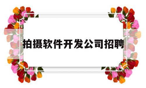 拍摄软件开发公司招聘(软件开发公司招聘信息)