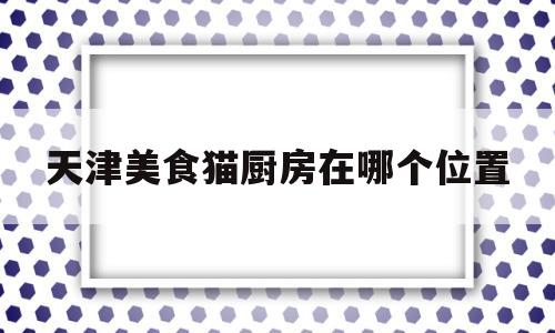 天津美食猫厨房在哪个位置(美食猫视频)