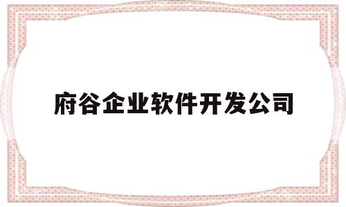 府谷企业软件开发公司(府谷企业拓展)